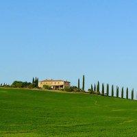 Visita la Toscana: scopri Siena, Pisa, San Gimignano e goditi un tour del Chianti.