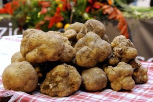 Eating Italy tour in Umbria: black truffle hunting
