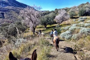 Passeggiata a cavallo a Piana degli Albanesi in Sicilia