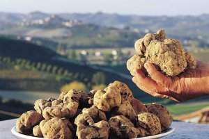 Eating Italy tour in Umbria: black truffle hunting