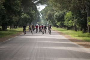 San Rossore Park Bike tour in Pisa