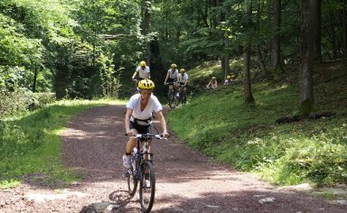 Valsesia bike tour in Piedmont
