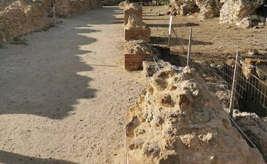 Barumini archeological site Guided walking tour with wine tasting