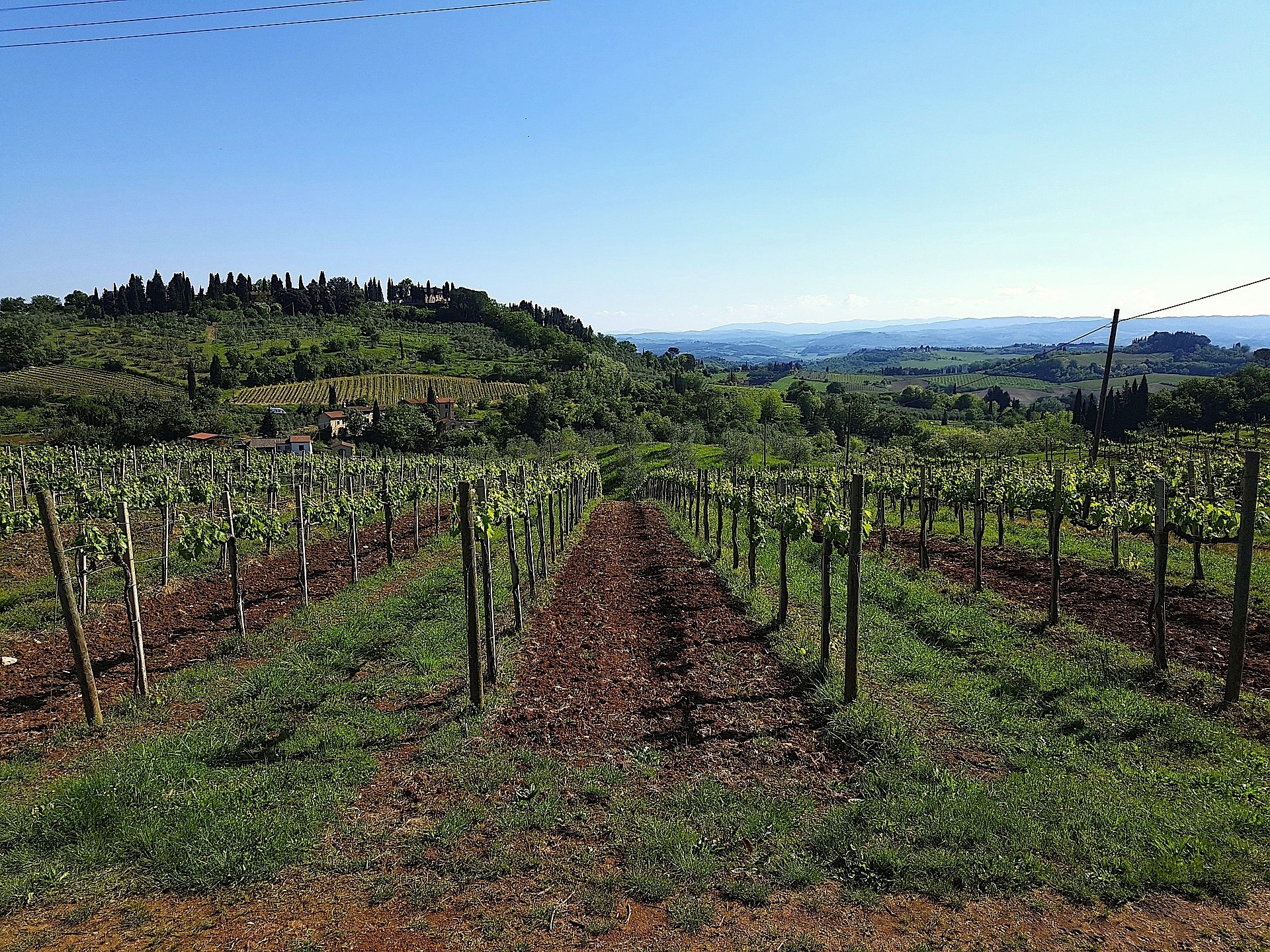 Tour Italy in a glass of wine! Get on board with BrickScape!